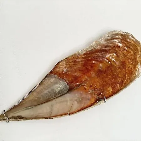 Cabarnus House Ferienhaus